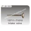 Intake valve