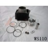 WS110 Cylinder set 套缸