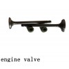 engine valve