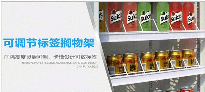 廠家直銷冰柜批發 立式雙門商用冰箱便利店展示柜超市飲料陳列柜