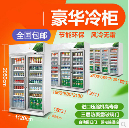 廠家直銷冰柜批發 立式雙門商用冰箱便利店展示柜超市飲料陳列柜